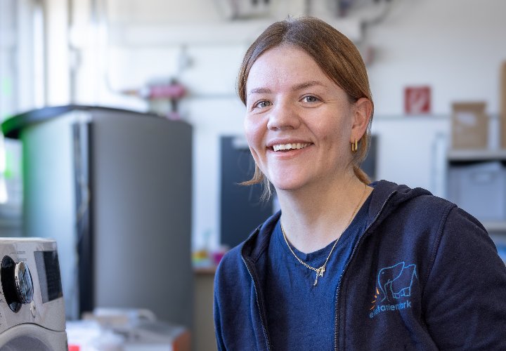 Job als Reinigungskraft bei elefantenstark