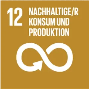 SDG 12