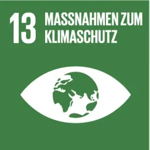 SDG 13