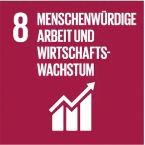 SDG 8