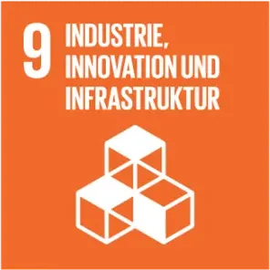 SDG 9