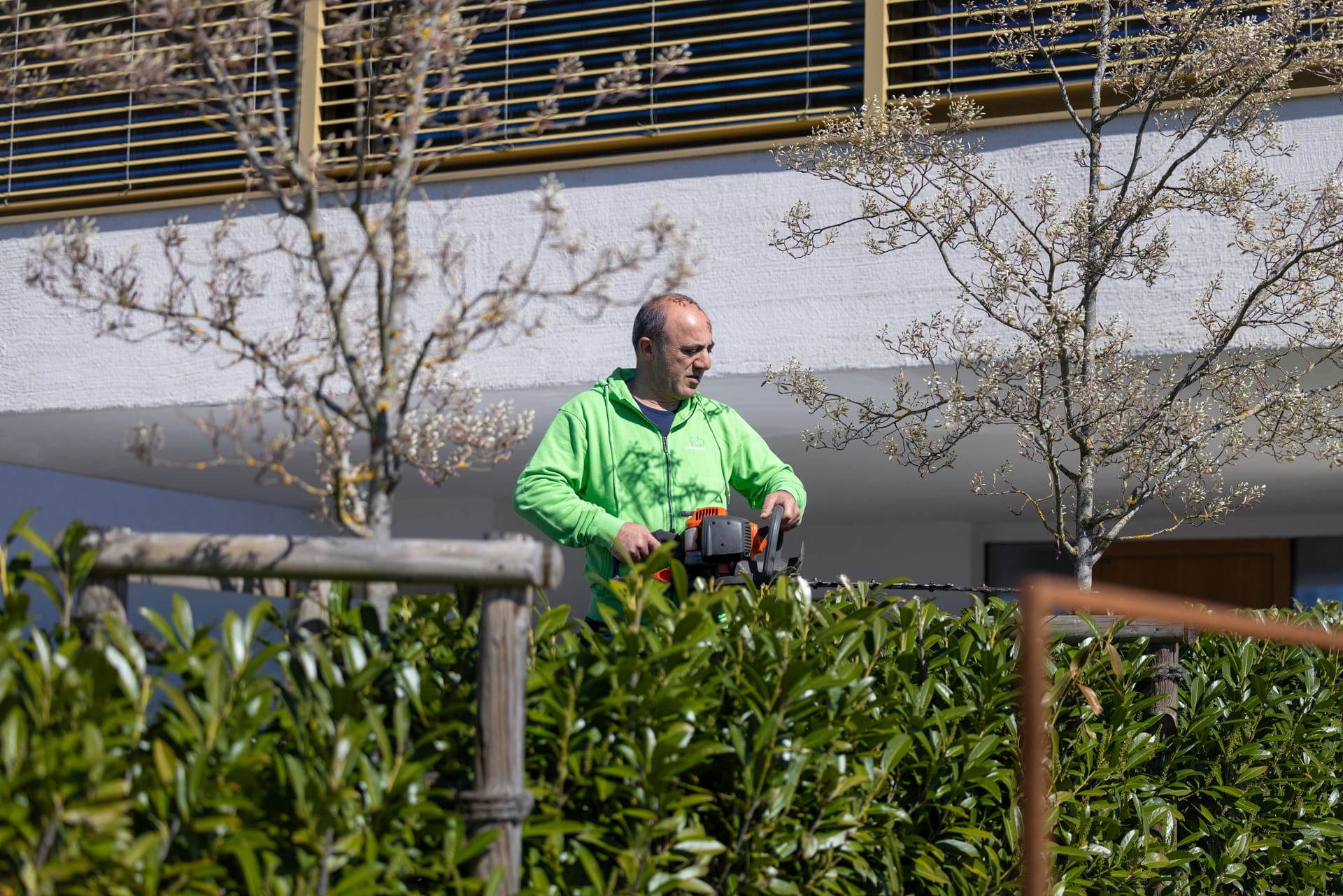 Heckenschnitt & Strauchschnitt