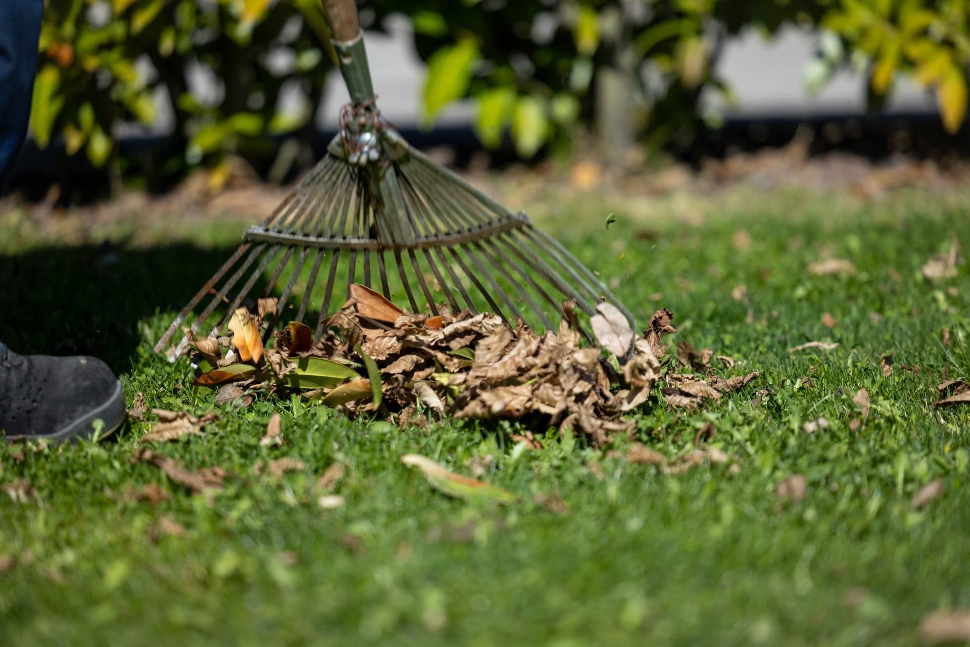 Laubentfernung & Saisonarbeiten